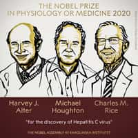 Les trois prix Nobel 2020 de physiologie et de médecine : Harvey James Alter, Michael Houghton et Charles M. Rice. © Bertil, Adobe Stock 